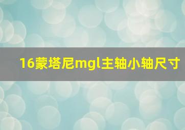 16蒙塔尼mgl主轴小轴尺寸