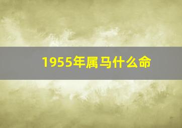 1955年属马什么命