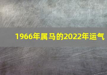 1966年属马的2022年运气