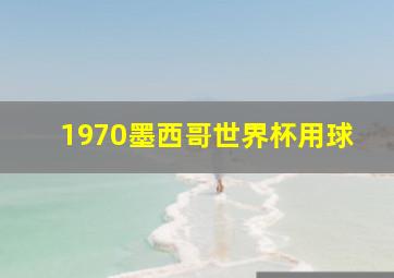 1970墨西哥世界杯用球