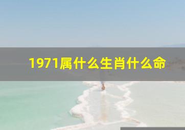 1971属什么生肖什么命