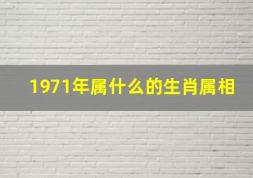 1971年属什么的生肖属相