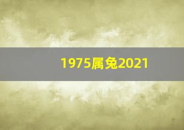 1975属兔2021