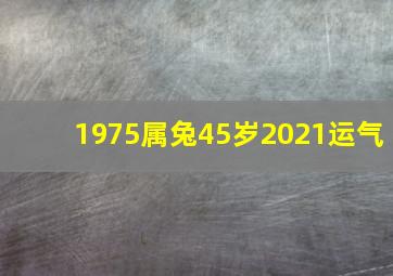 1975属兔45岁2021运气