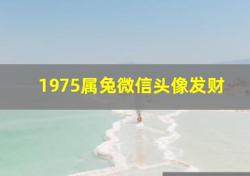 1975属兔微信头像发财