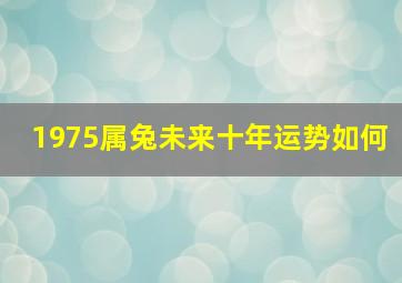 1975属兔未来十年运势如何