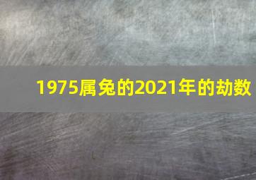 1975属兔的2021年的劫数