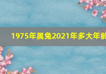 1975年属兔2021年多大年龄