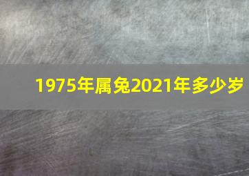 1975年属兔2021年多少岁