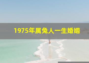 1975年属兔人一生婚姻