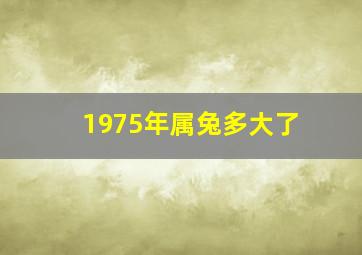 1975年属兔多大了