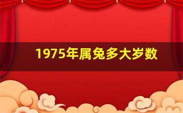 1975年属兔多大岁数