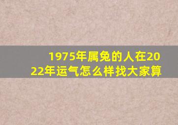 1975年属兔的人在2022年运气怎么样找大家算