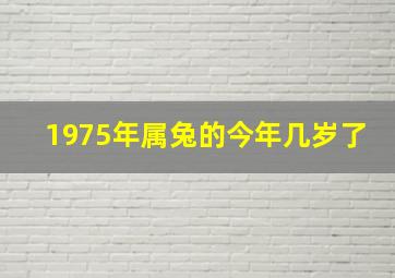 1975年属兔的今年几岁了