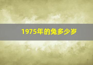 1975年的兔多少岁