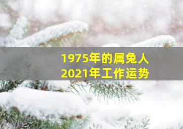 1975年的属兔人2021年工作运势