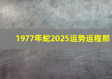 1977年蛇2025运势运程那