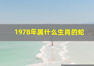 1978年属什么生肖的蛇