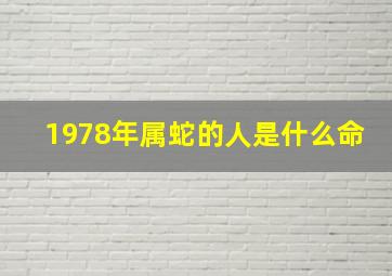 1978年属蛇的人是什么命