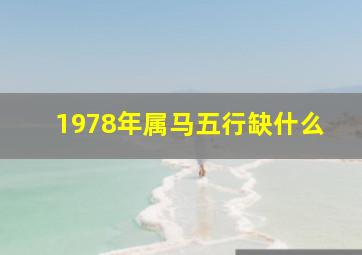 1978年属马五行缺什么