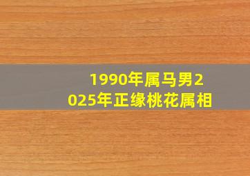 1990年属马男2025年正缘桃花属相