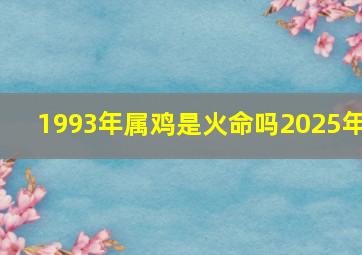 1993年属鸡是火命吗2025年