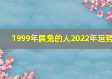 1999年属兔的人2022年运势