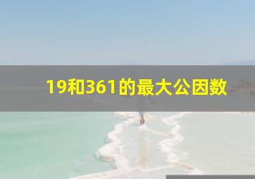 19和361的最大公因数