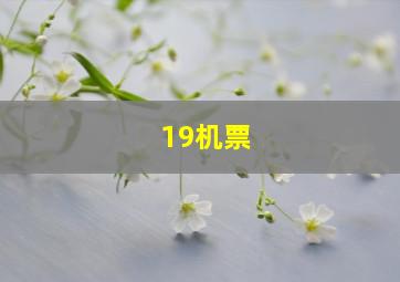 19机票