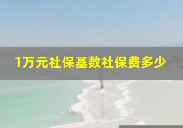 1万元社保基数社保费多少