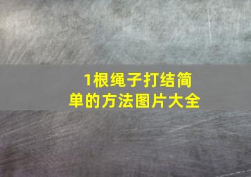 1根绳子打结简单的方法图片大全