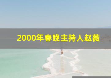 2000年春晚主持人赵薇