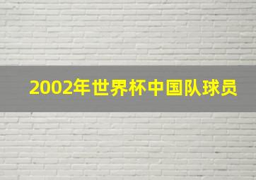 2002年世界杯中国队球员