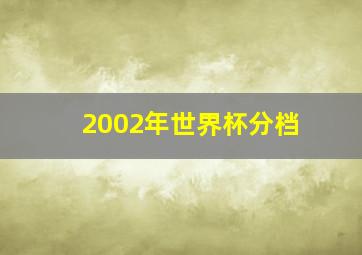 2002年世界杯分档