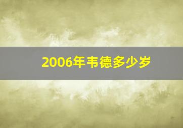 2006年韦德多少岁