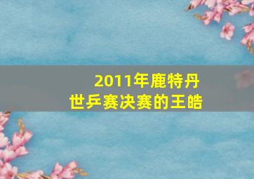 2011年鹿特丹世乒赛决赛的王皓