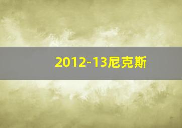 2012-13尼克斯