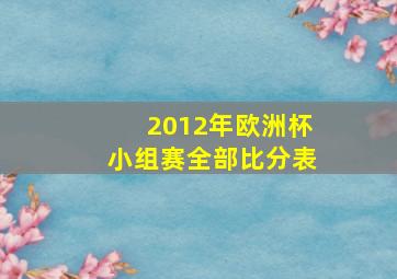 2012年欧洲杯小组赛全部比分表