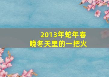 2013年蛇年春晚冬天里的一把火