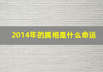 2014年的属相是什么命运