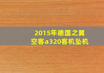 2015年德国之翼空客a320客机坠机