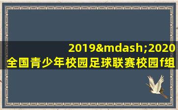 2019—2020全国青少年校园足球联赛校园f组