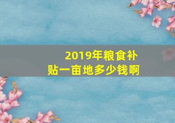 2019年粮食补贴一亩地多少钱啊