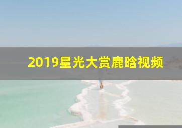 2019星光大赏鹿晗视频