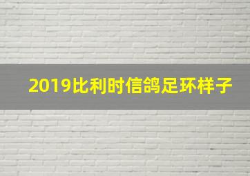 2019比利时信鸽足环样子