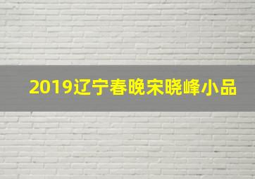 2019辽宁春晚宋晓峰小品