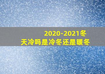 2020-2021冬天冷吗是冷冬还是暖冬