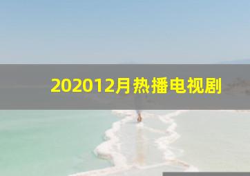 202012月热播电视剧