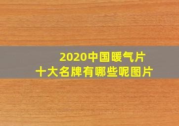 2020中国暖气片十大名牌有哪些呢图片