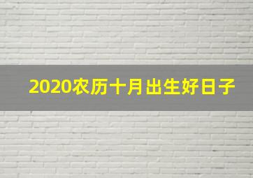 2020农历十月出生好日子